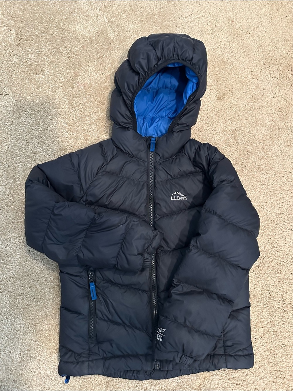 L.L. Bean Kids Navy Puffer Jacket with Bright Blue Hood Lining